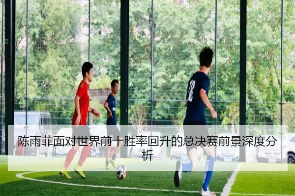 陈雨菲面对世界前十胜率回升的总决赛前景深度分析